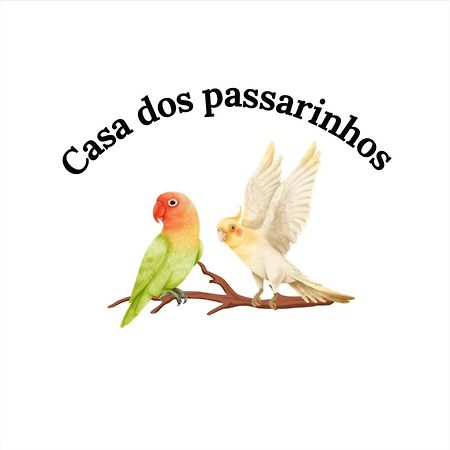 Casa Dos Passarinho'S , Лагос Екстериор снимка